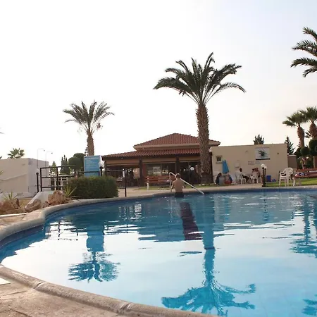 Happy קורל ביי