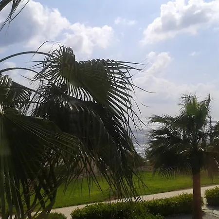 דירה Happy קורל ביי