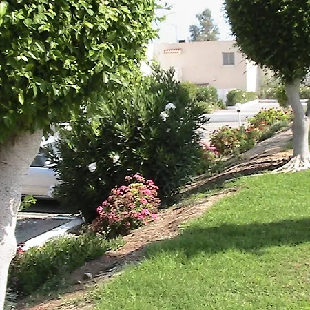 Happy Golful Coralilor