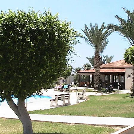 Happy קורל ביי